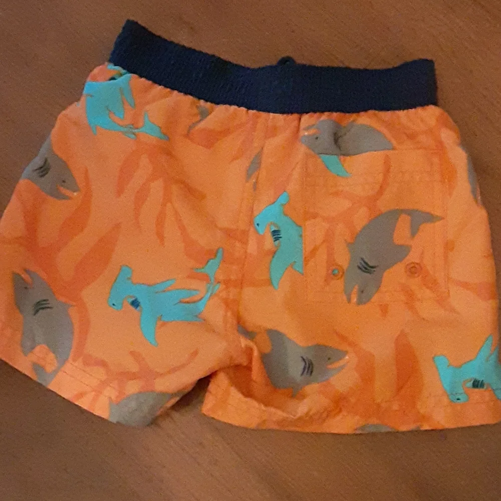 Gymboree orange blue gray shark swim trunks boys size 12-28 mo EUC …